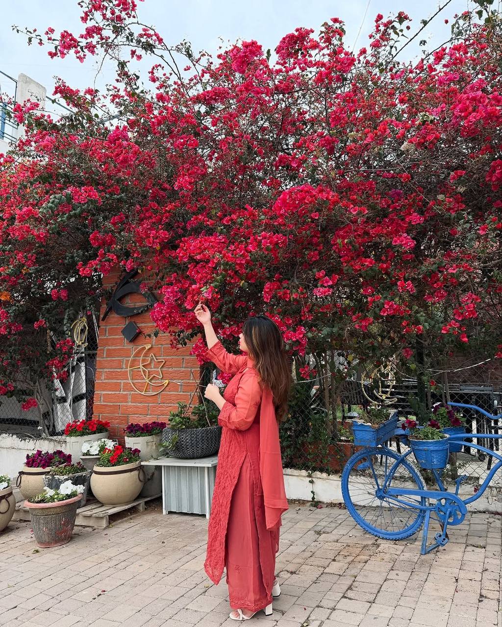 Party Wear Look Top-Bottom And Dupatta