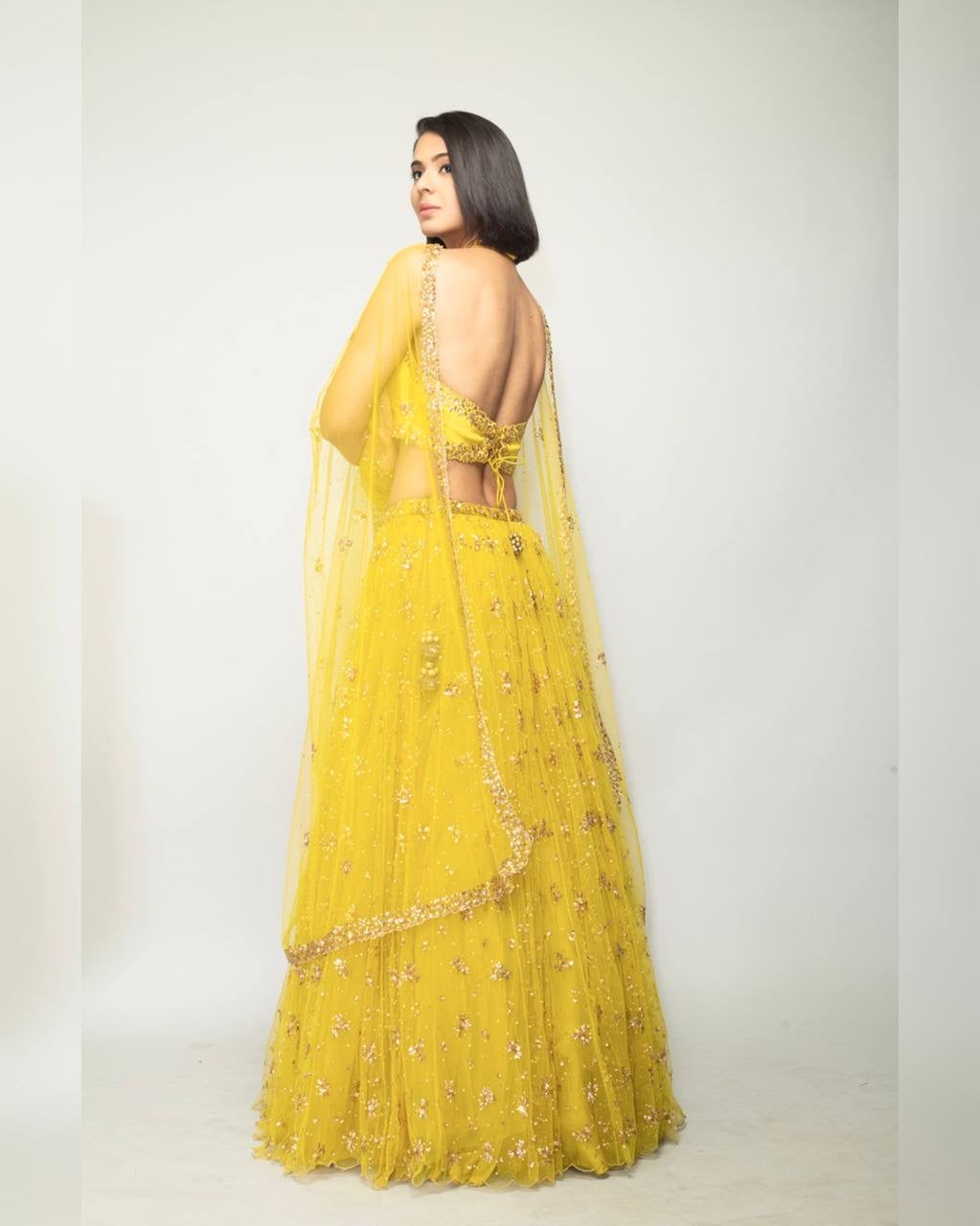 Party Wear Beautiful Lehenga Choli With Sequence & Zari Work