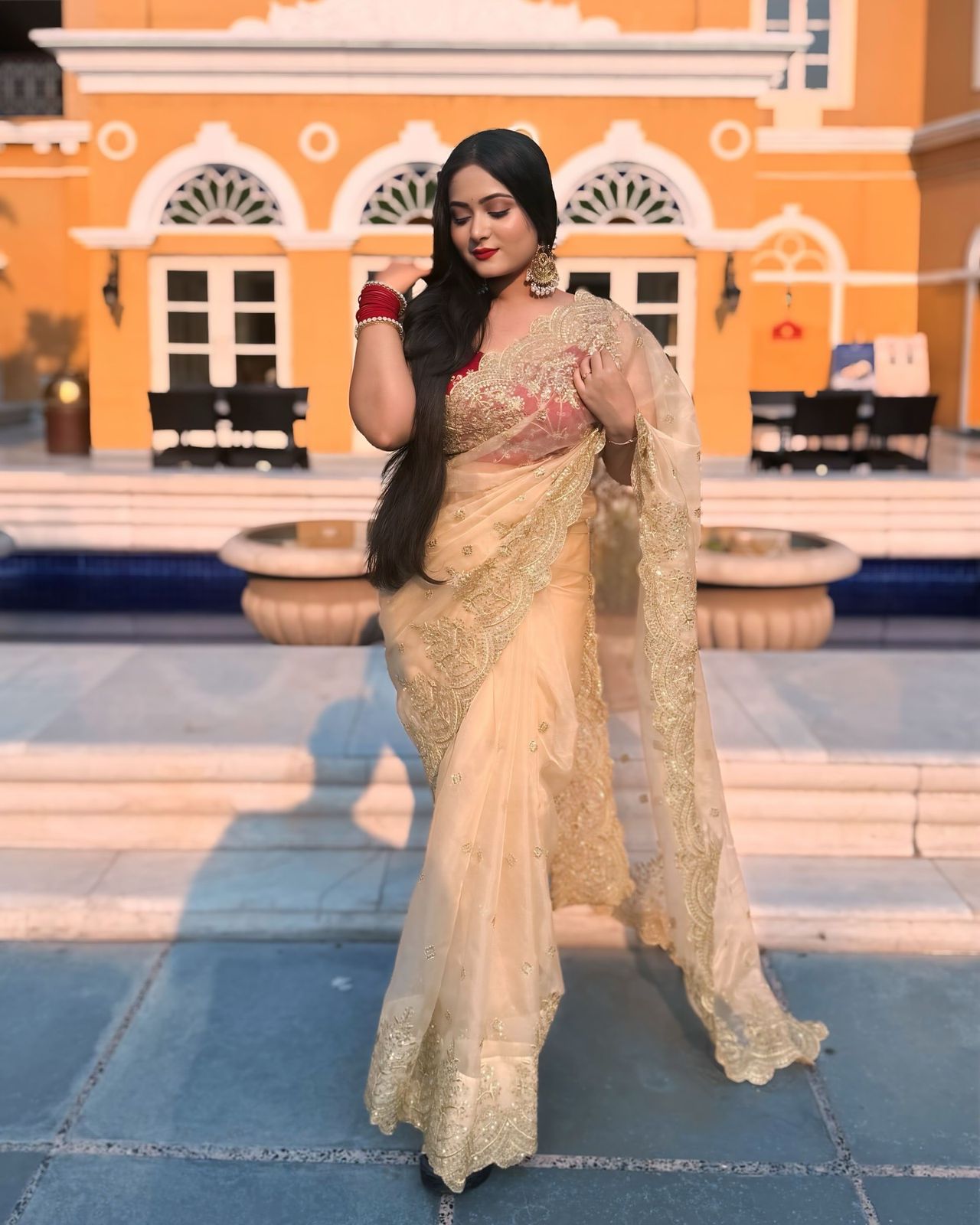 सीक्वेंस और ज़री कढ़ाई वाली पार्टी वेयर साड़ी